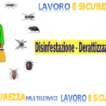 Eliminzanione ratti, insetti, mosche e zanzare