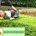 Cura Giardini